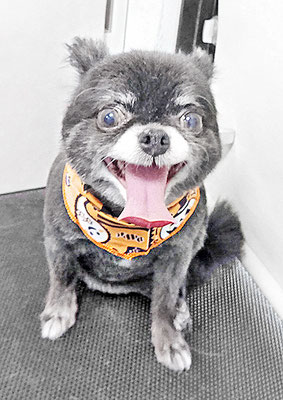 森崎シロちゃん