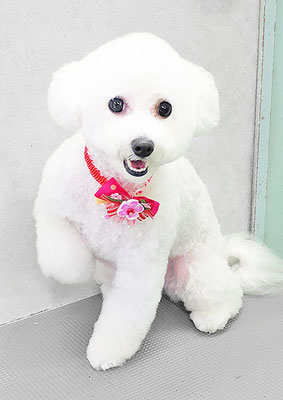 吉永ふわりちゃん
