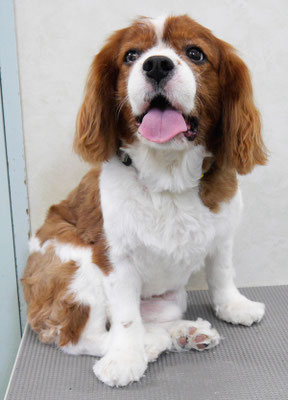 久永ココロちゃん