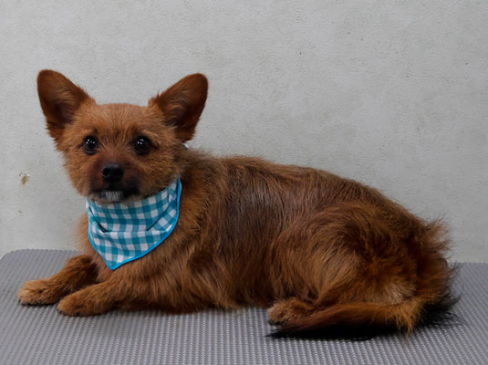 助村ルウちゃん