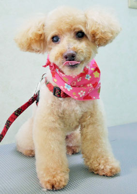 尾迫レオちゃん