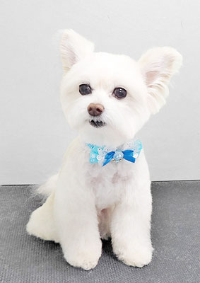 中村ココちゃん