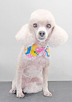 新留モコちゃん