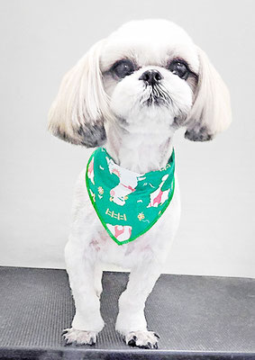 久永ナルちゃん