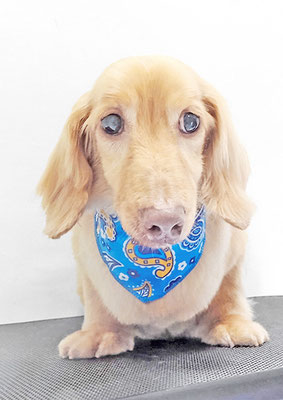 前薗パルちゃん