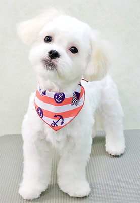 松岡ここちゃん