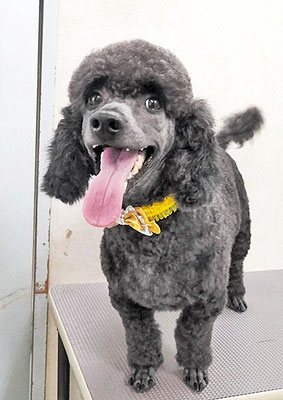 中鶴ノアちゃん