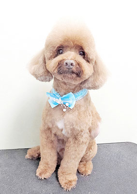 台場モコちゃん