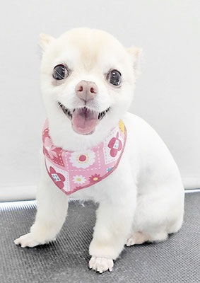 作島うみちゃん