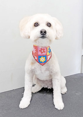 中川アロハちゃん