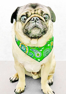 田邊ギンちゃん