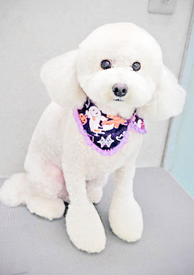 山小田アンディちゃん