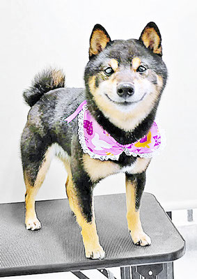 中野めらんちゃん