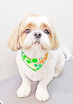 榊原もちちゃん