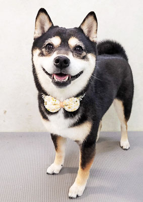 岩﨑レイちゃん