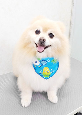 徳留クマちゃん