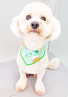 有村ルークちゃん