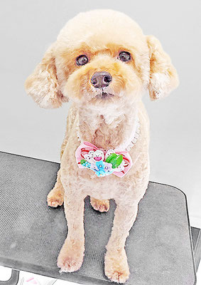 玉利ココちゃん