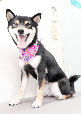 西元風子ちゃん