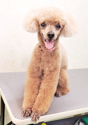 平松クーちゃん