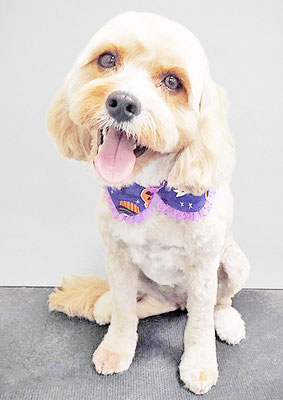 sharma princessちゃん