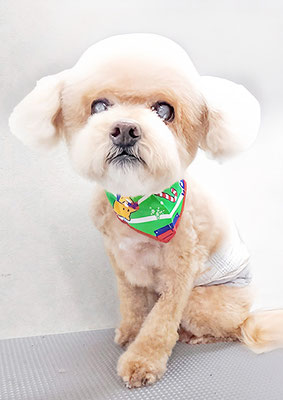 小森チョコちゃん