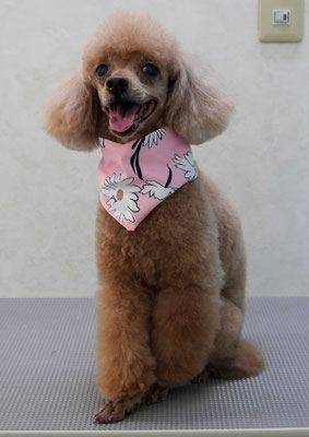 平松クーちゃん