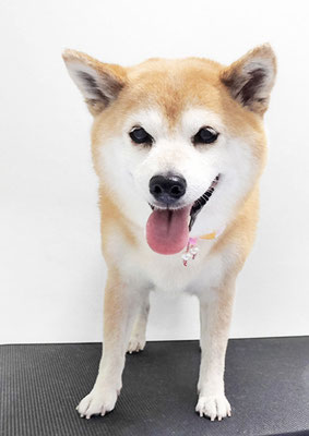 小田ハルちゃん