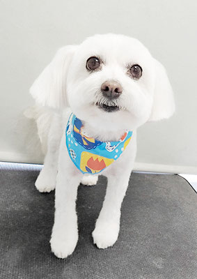 中山まるちゃん