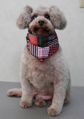 野村ひなちゃん