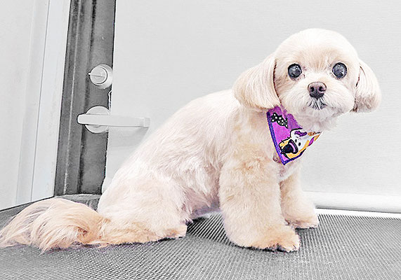 永濱サラちゃん