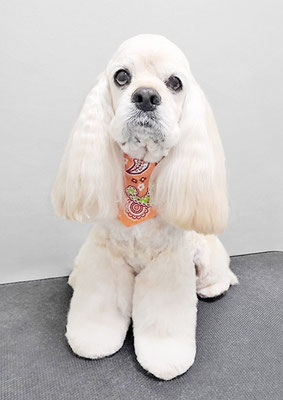 福富ベリーちゃん