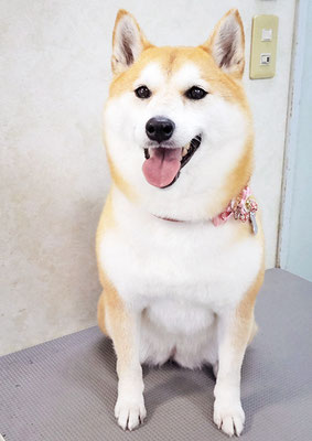 小村ゆずちゃん