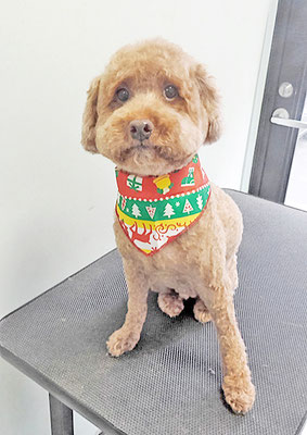 山元風介ちゃん