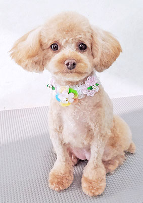 岩元ナノちゃん