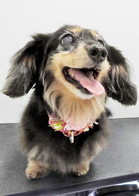 谷口チョコちゃん