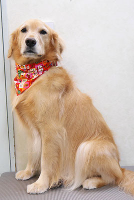 菊川チェリーちゃん