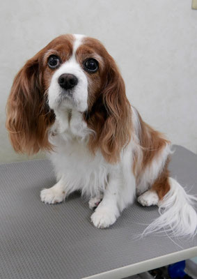 福留ジルちゃん