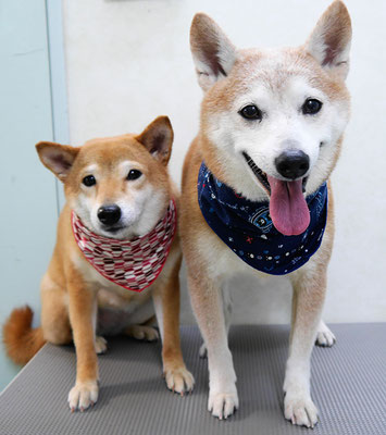 有馬コナツ&コタロウちゃん