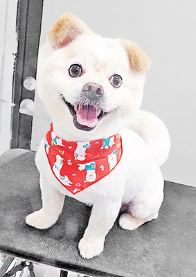 中園モカちゃん