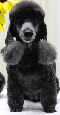 梶原リヴちゃん