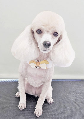 新留モコちゃん