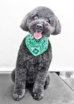 本坊ダノちゃん