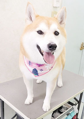 小村ゆずちゃん