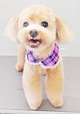 堀内まりもちゃん