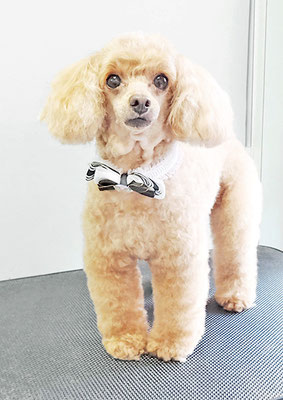 森崎ネネちゃん