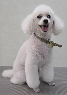 梶原ハッピーちゃん