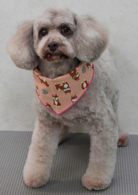 野村ひなちゃん