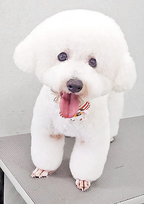 内田おもちちゃん