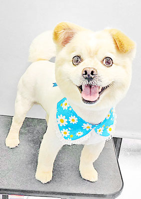 中園モカちゃん